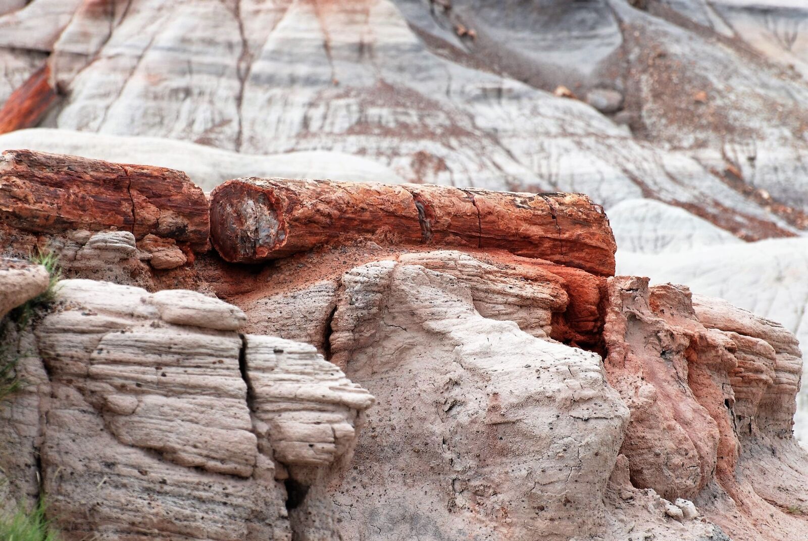 Nikon D80 sample photo. National park, arizona, petrified photography