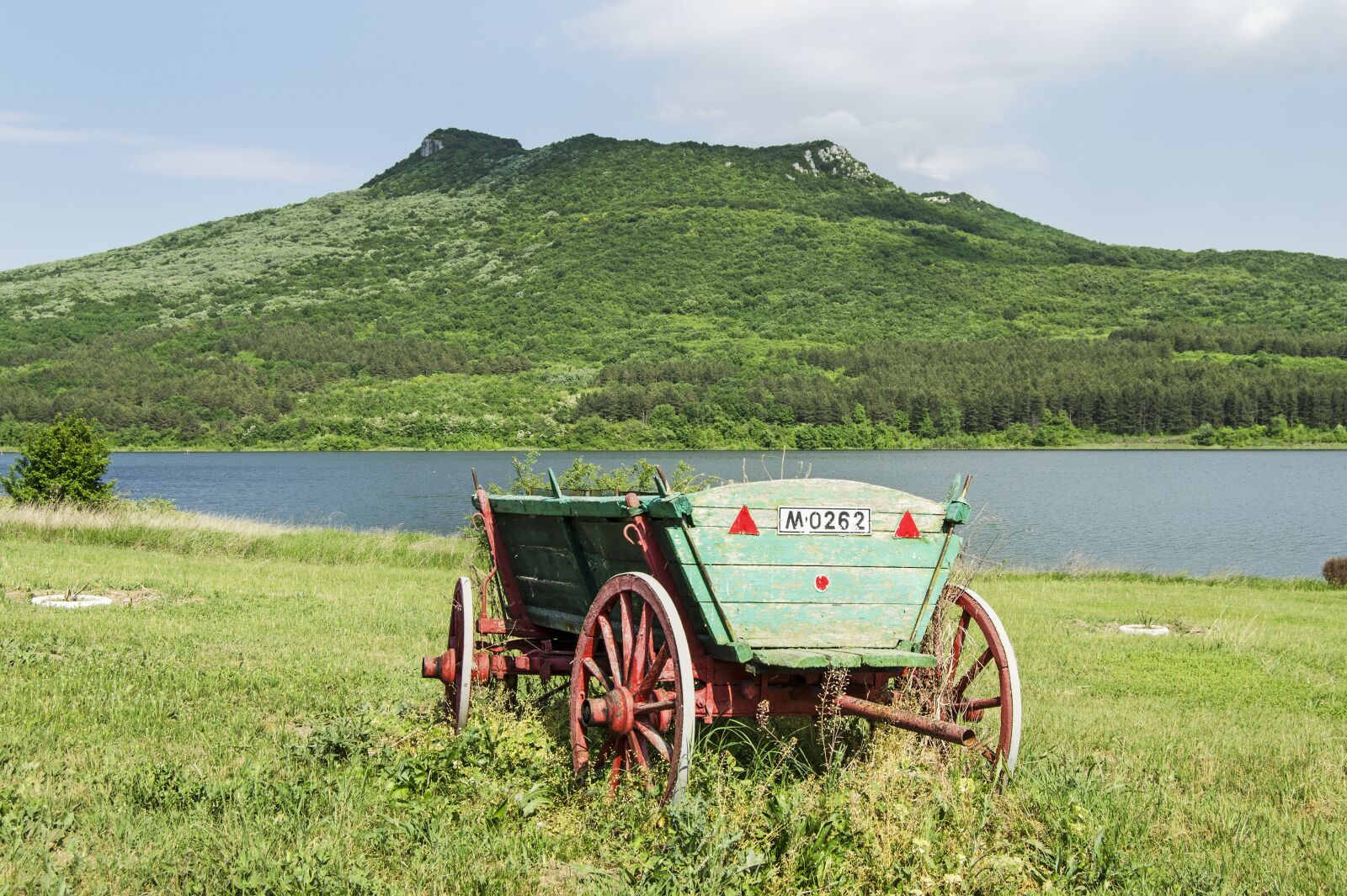Nikon D5100 sample photo. Wagon, wooden, wheels photography