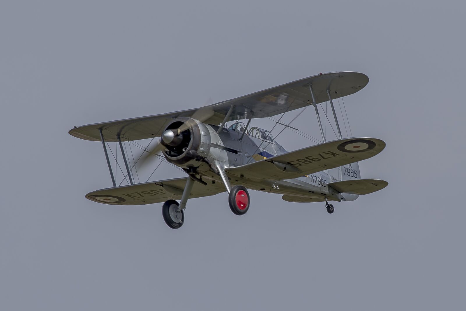 Canon EOS 6D sample photo. Aviation, gloster, biplane photography