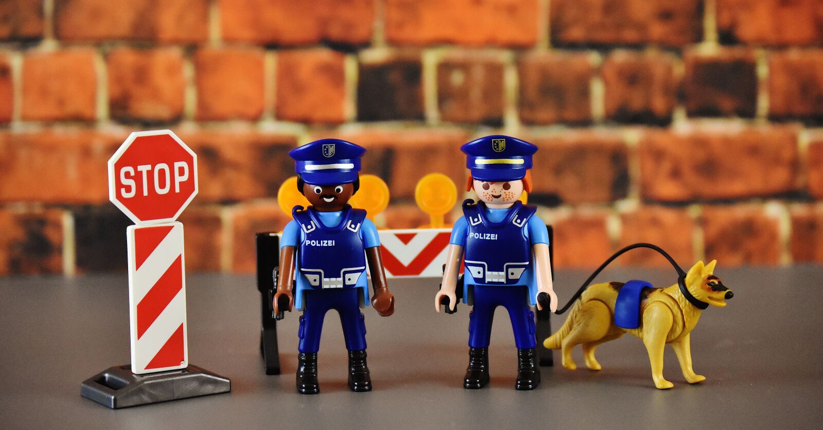 Nikon D7200 sample photo. Police, control, lock photography