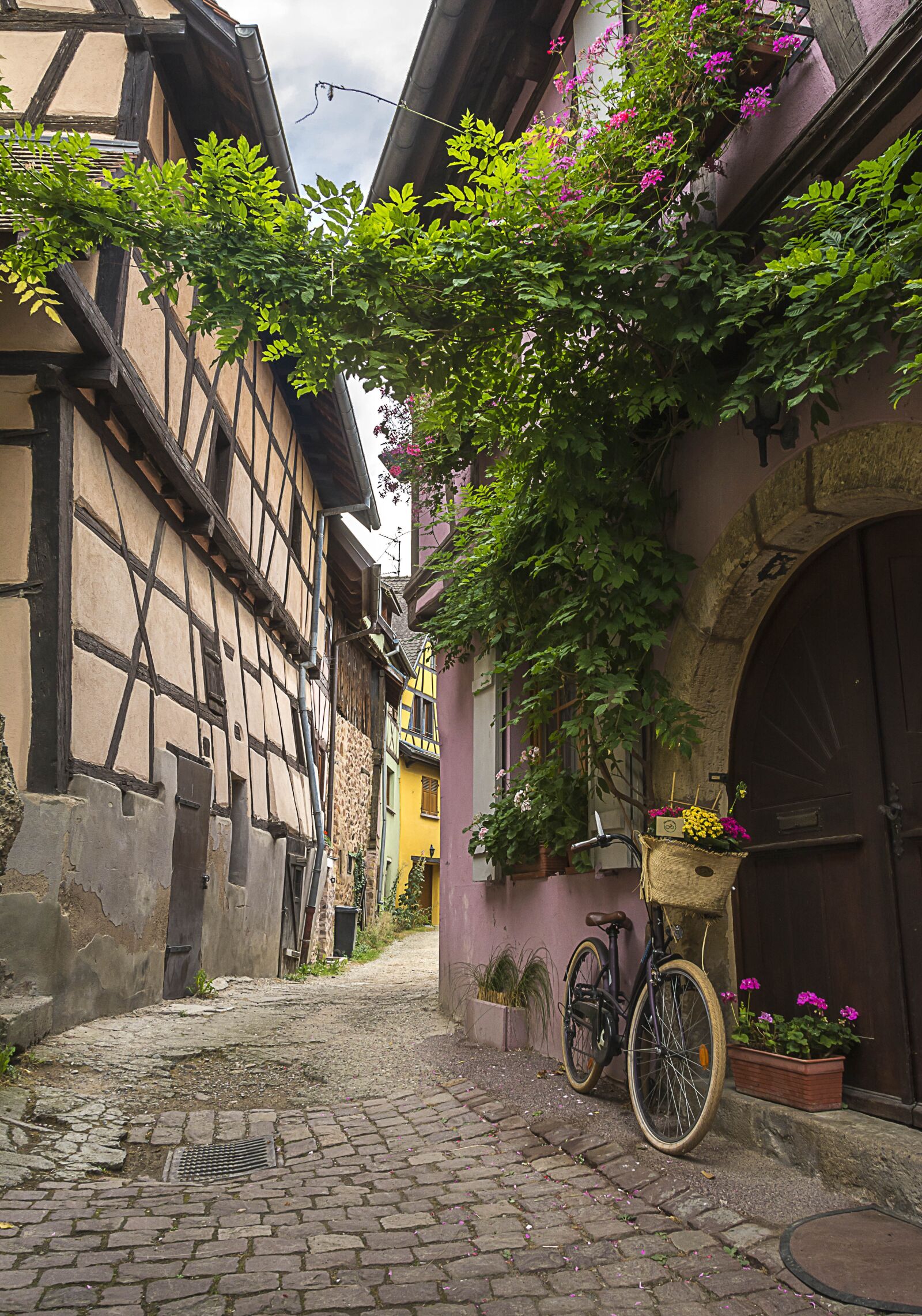 Nikon D7100 sample photo. Bicycle, street, city photography
