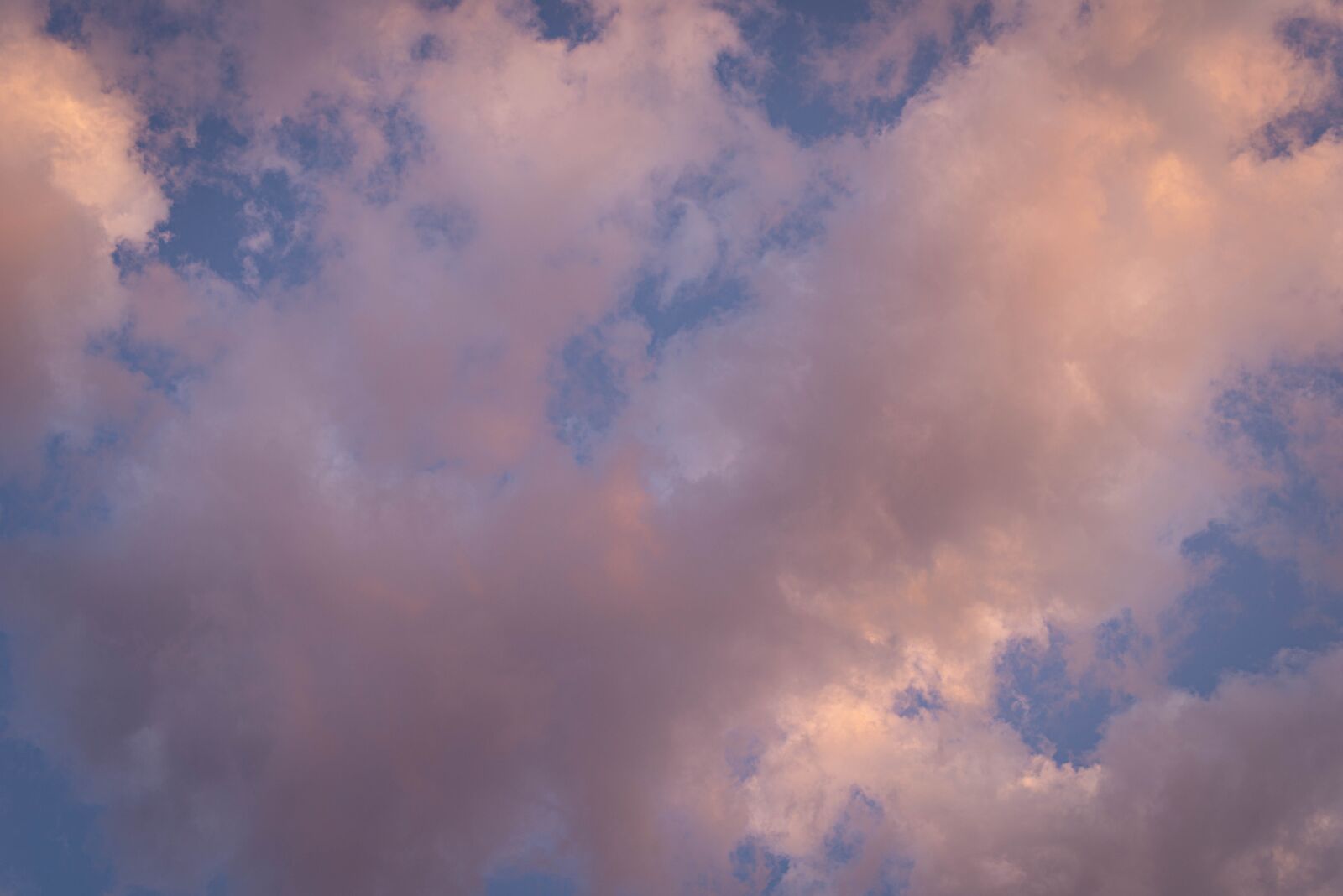 Nikon D610 sample photo. Clouds, sky, blue photography