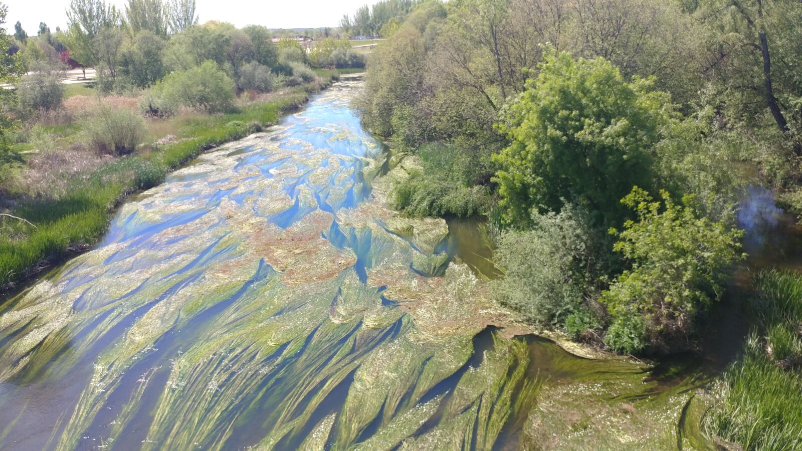 LG V20 sample photo. River, tormes, salamanca photography