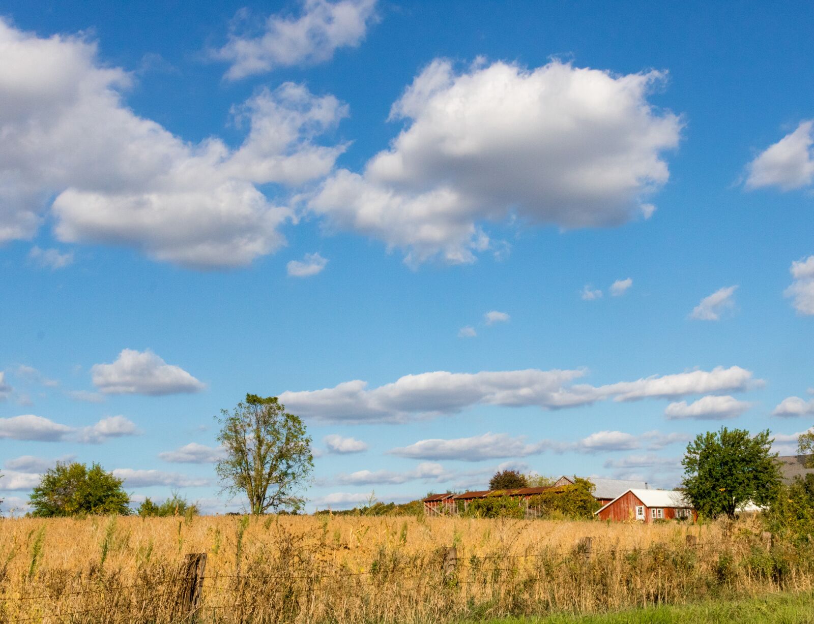 Canon EOS 750D (EOS Rebel T6i / EOS Kiss X8i) sample photo. Farm, rural, countryside photography