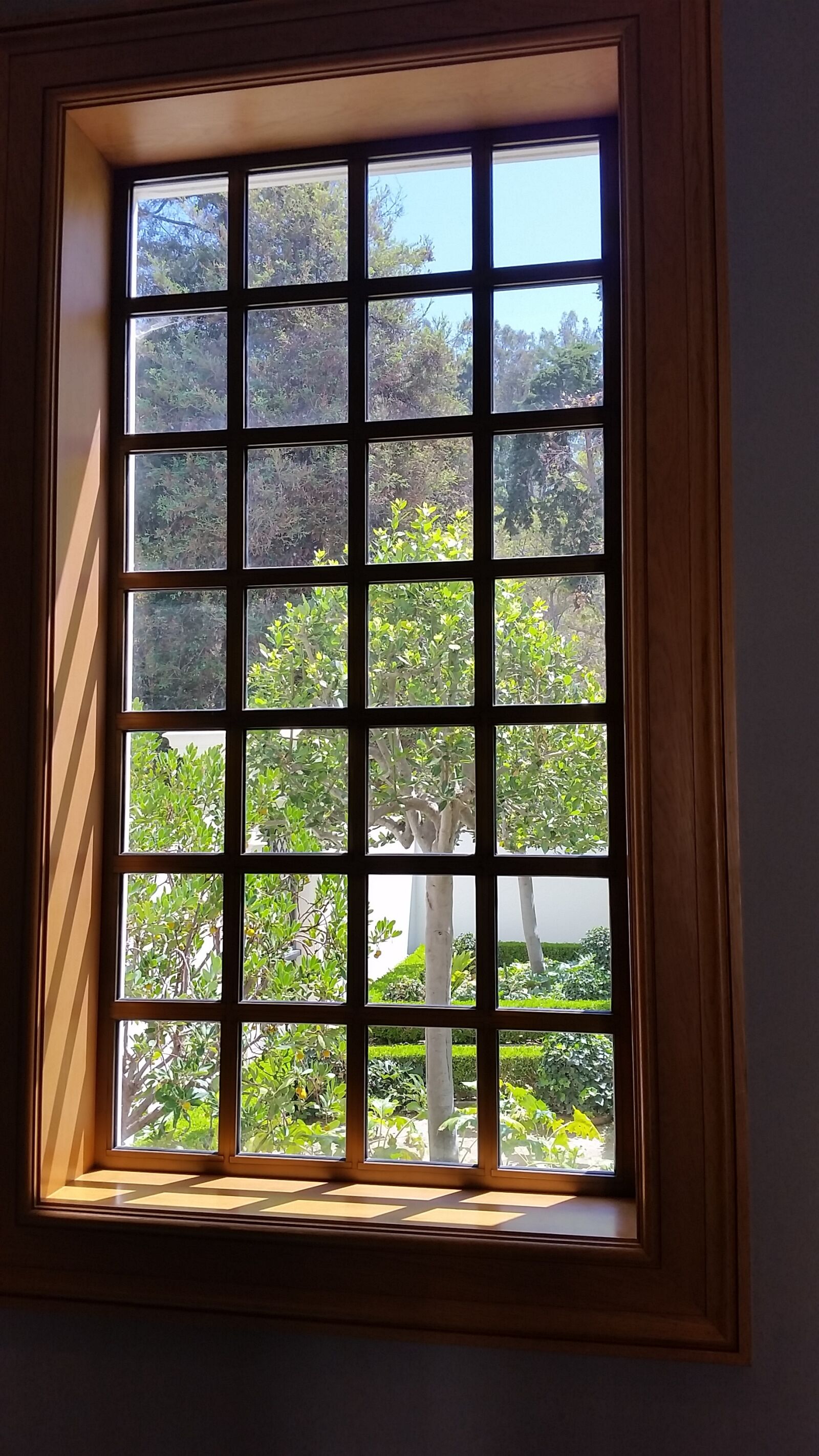 Samsung Galaxy S5 sample photo. Window view, window, garden photography