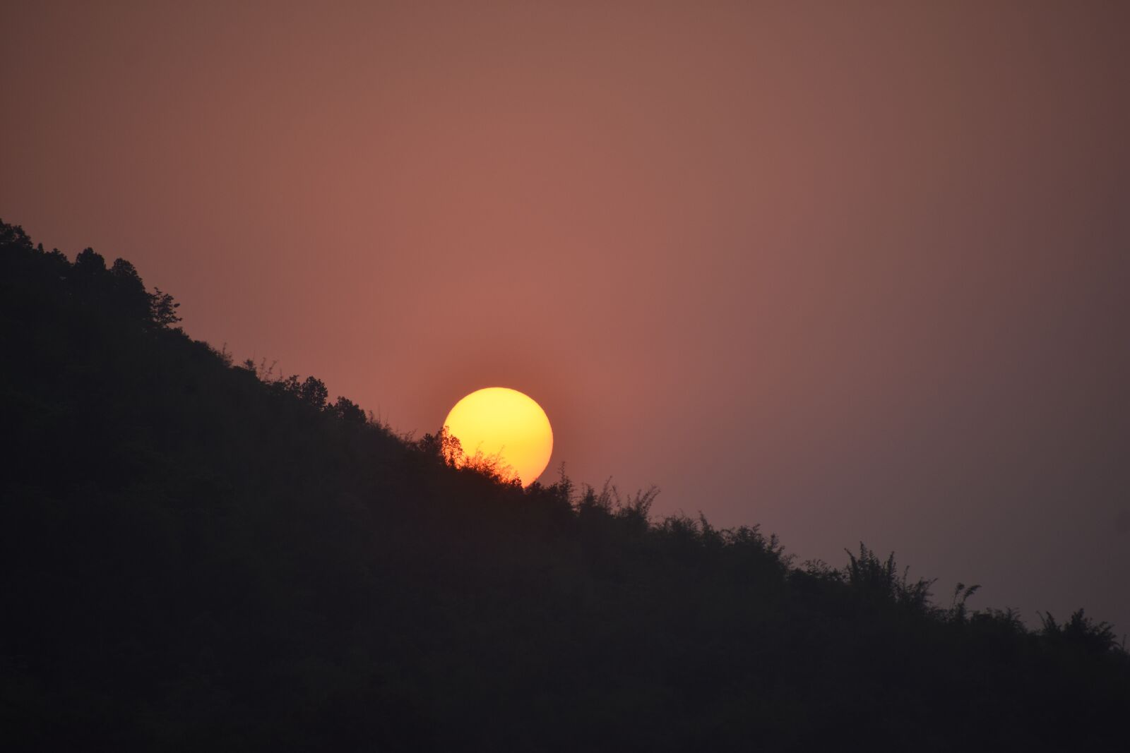 Nikon D3400 sample photo. Sun, evening, morning photography