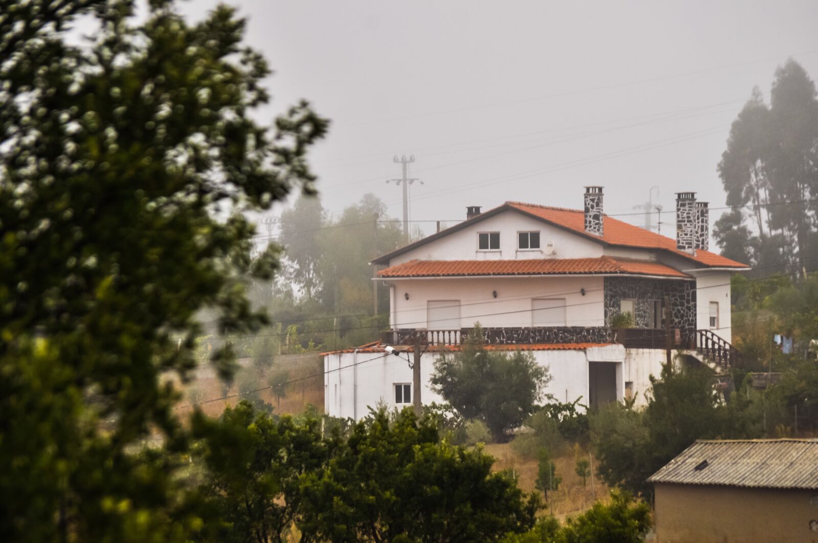 Nikon D90 sample photo. Home, house, roof photography