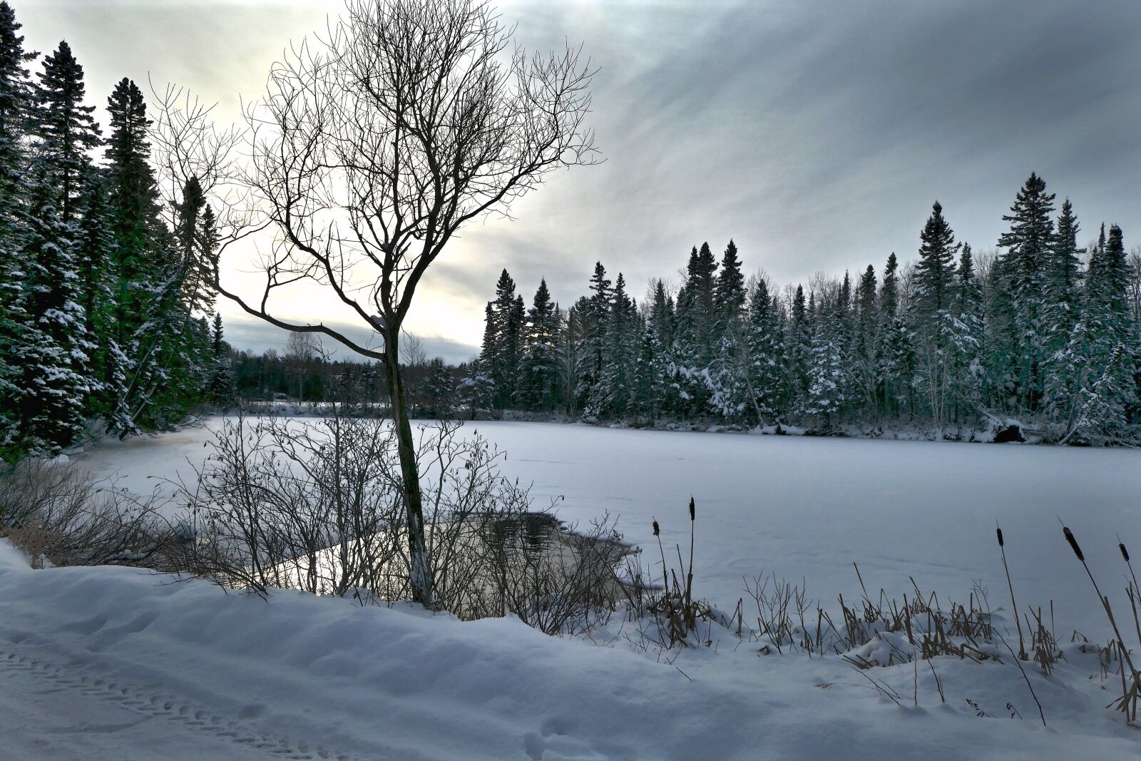 Panasonic DC-ZS200 sample photo. Landscape, winter, nature photography