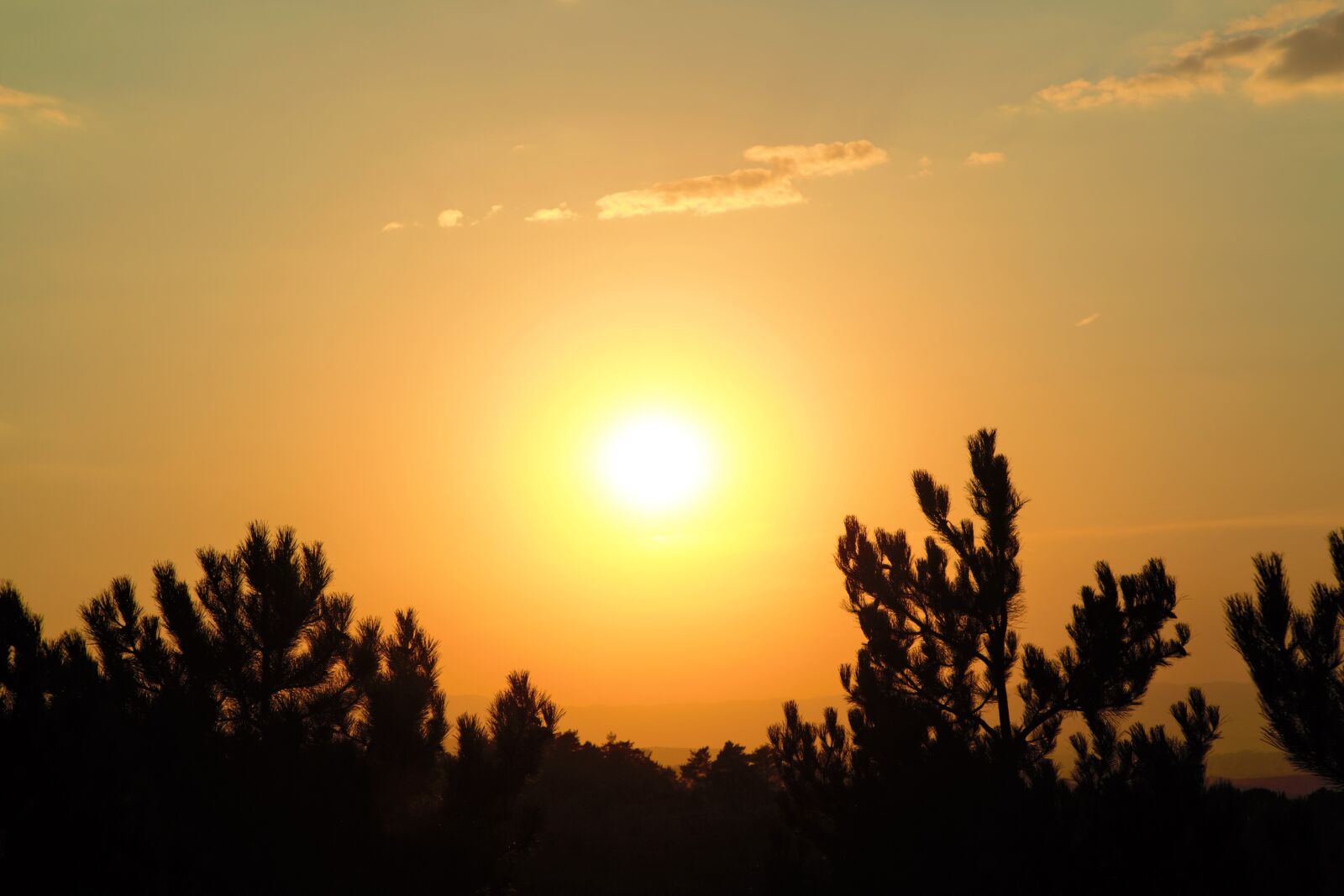 Canon EOS 5D Mark III sample photo. Sunset, nature, horizon photography