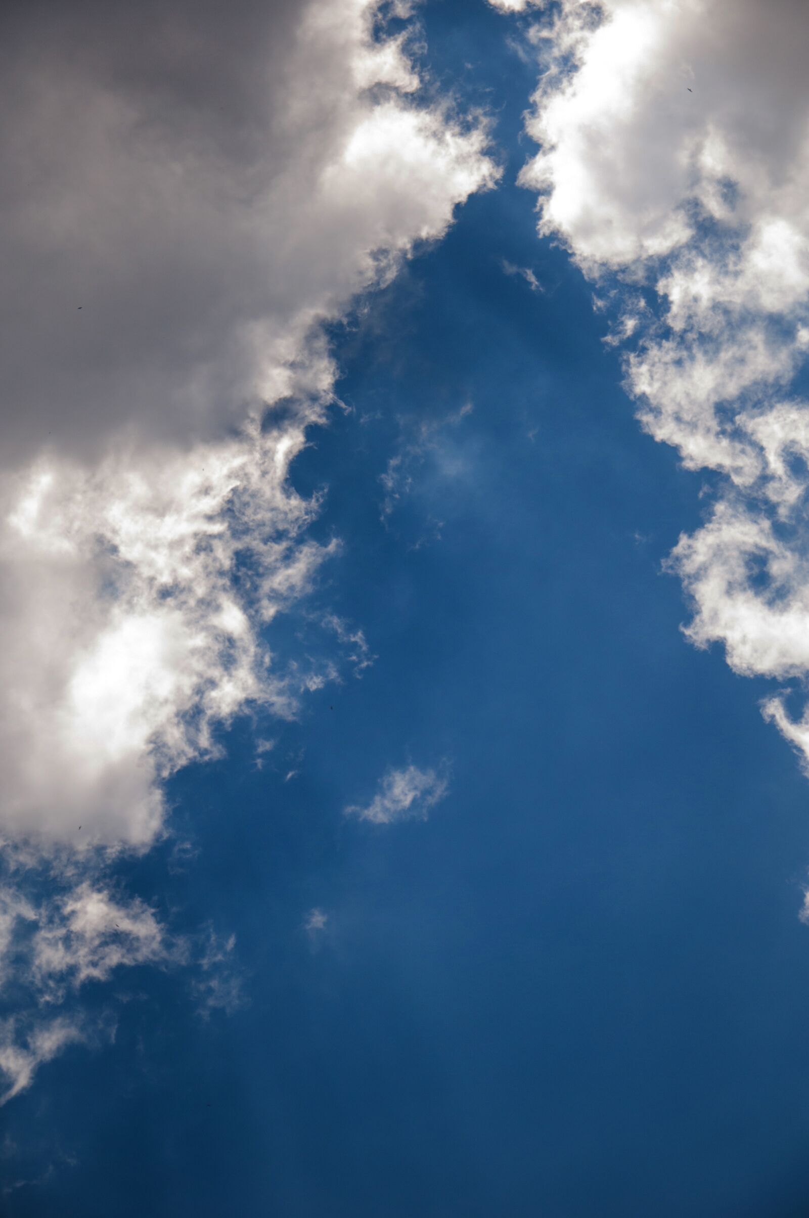 Nikon D90 sample photo. Cloud, air, sky photography
