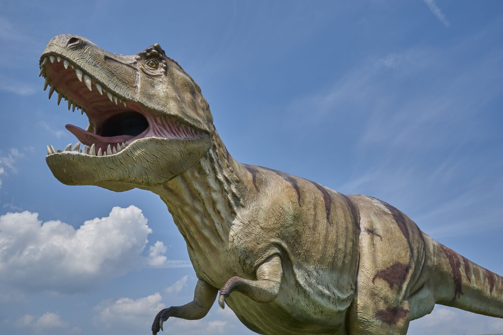 Sony FE 16-35mm F2.8 GM sample photo. Dinosaur, prehistoric, carnivores photography