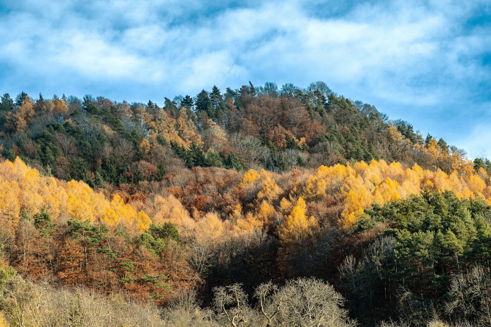 Canon EOS 6D Mark II sample photo. Deciduous forest, mountain, colorful photography