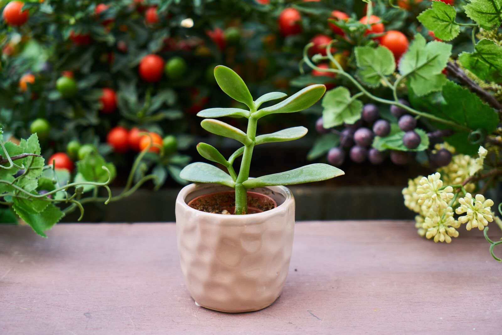 Sony a7R II sample photo. Flower, flowerpot, nature photography