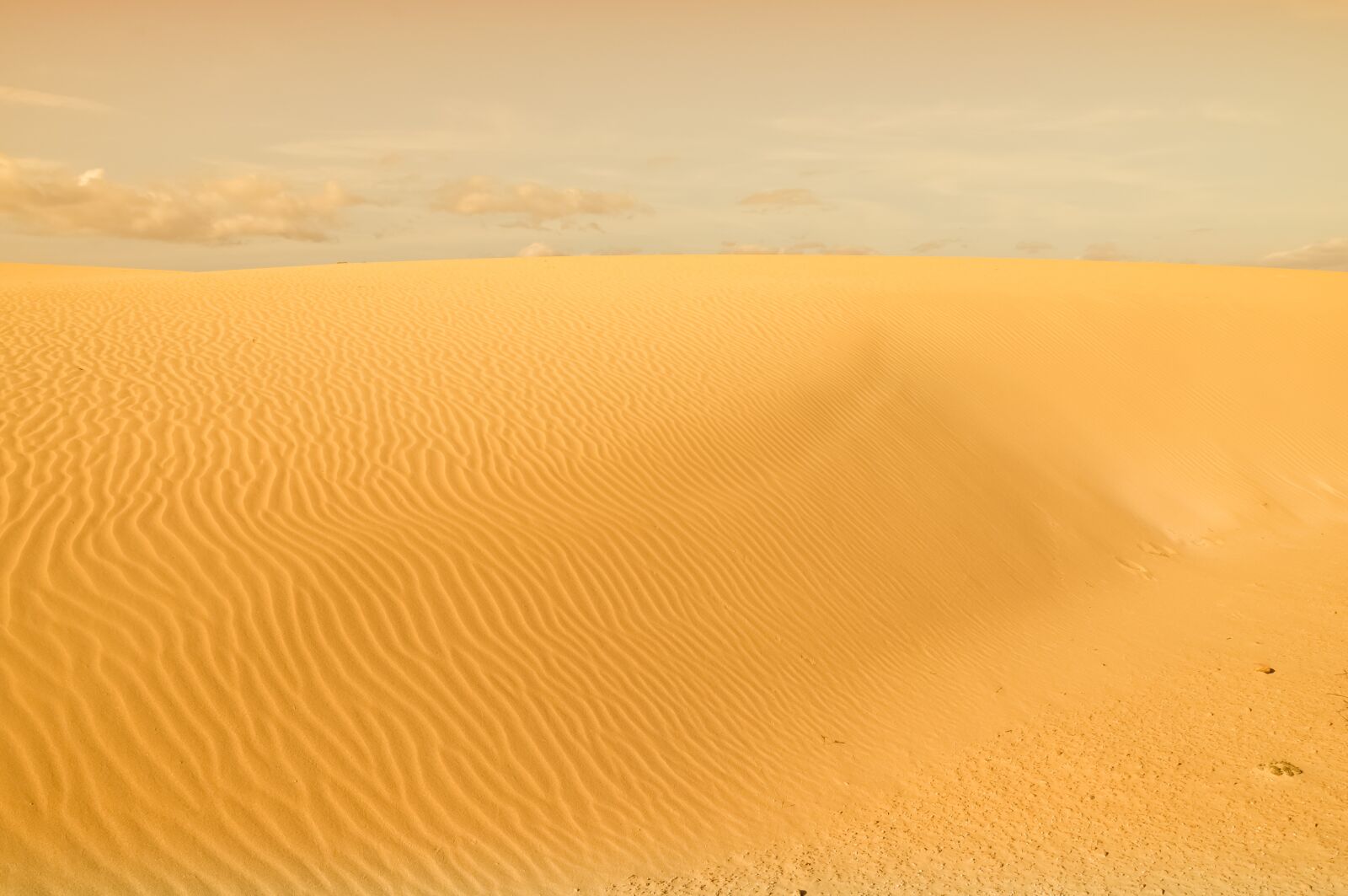 Nikon D5000 sample photo. Desert, dune, sand photography