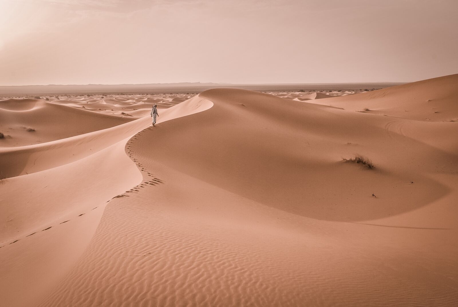 Nikon D3000 sample photo. Barren, desert, dune photography