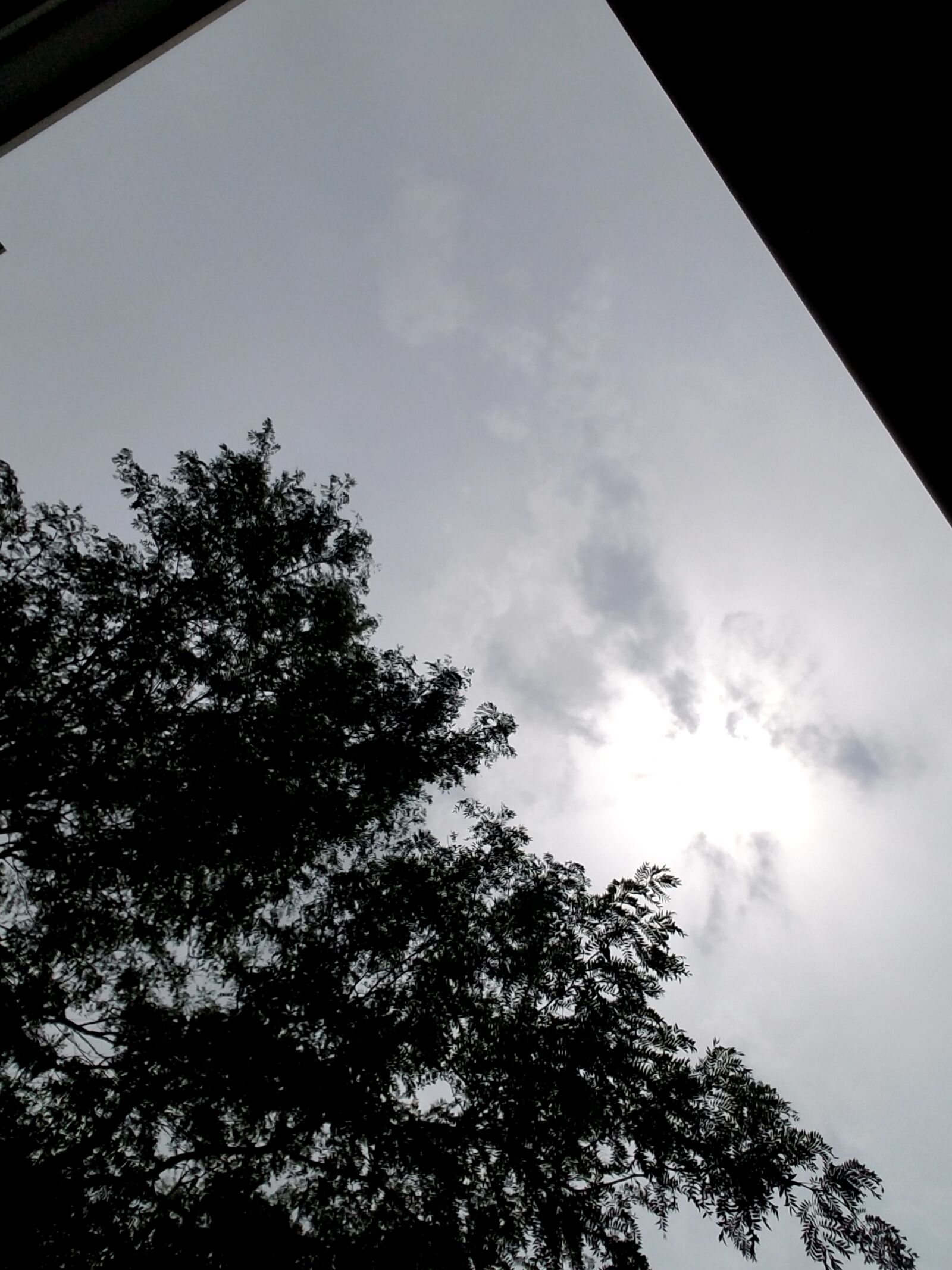 Samsung Galaxy S7 sample photo. Dark, sky, tree photography