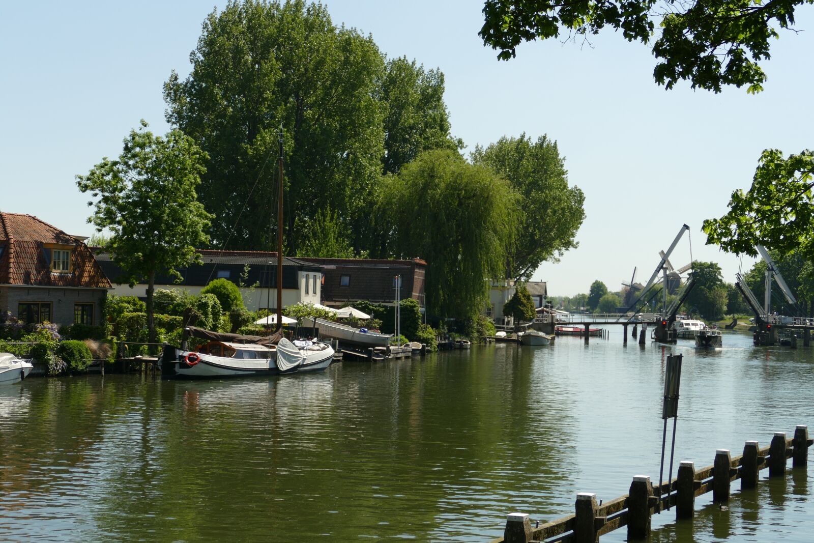 Panasonic Lumix DMC-FZ1000 sample photo. River, fight, weesp photography