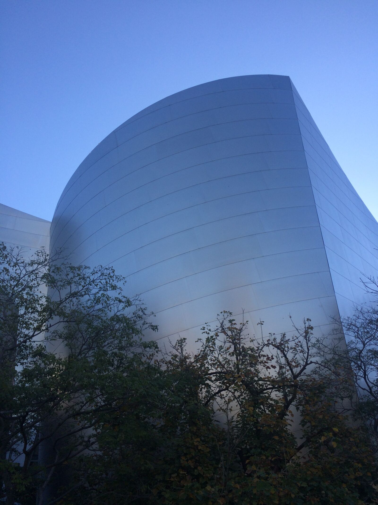 iPhone 5s back camera 4.15mm f/2.2 sample photo. Los angeles, california, downtown photography