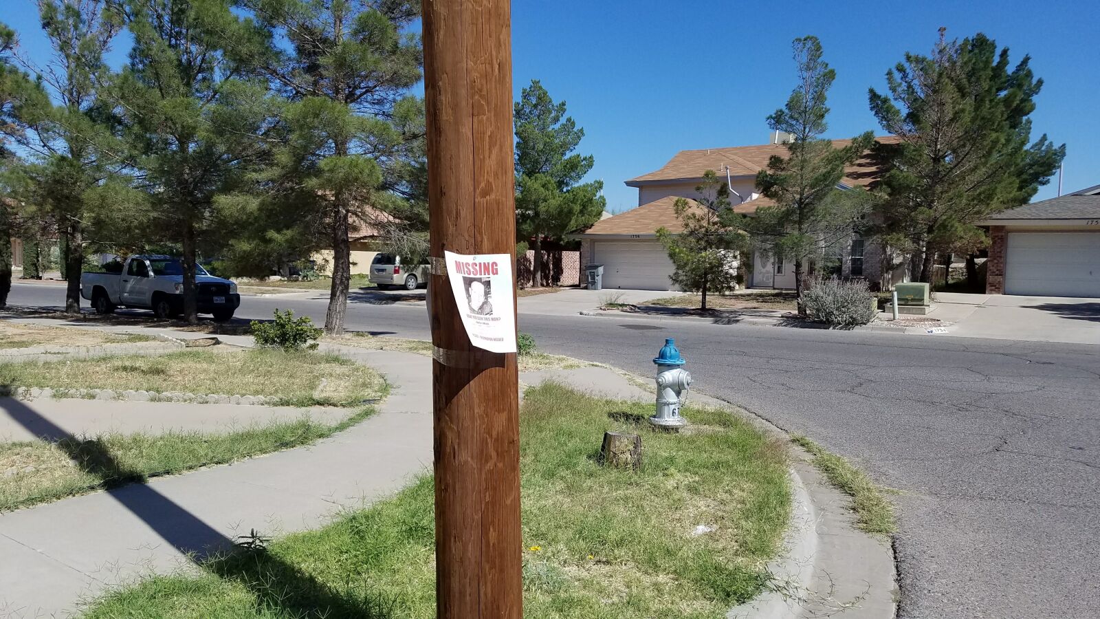 Samsung Galaxy S7 Edge sample photo. Missing person, poster, runaway photography