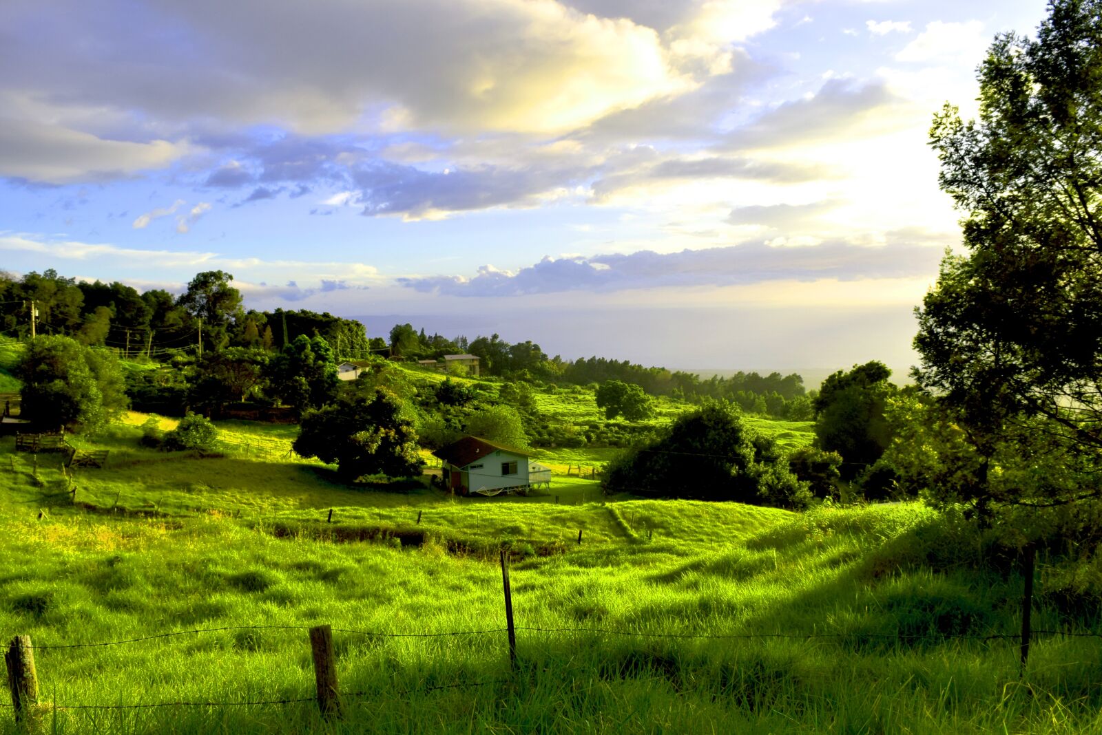 Nikon D3300 sample photo. Countryside, maui, kula photography