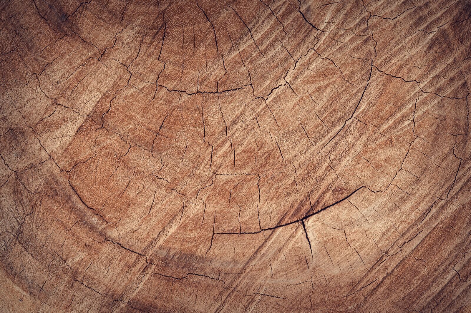 Nikon D700 sample photo. Wood, floor, backdrop photography