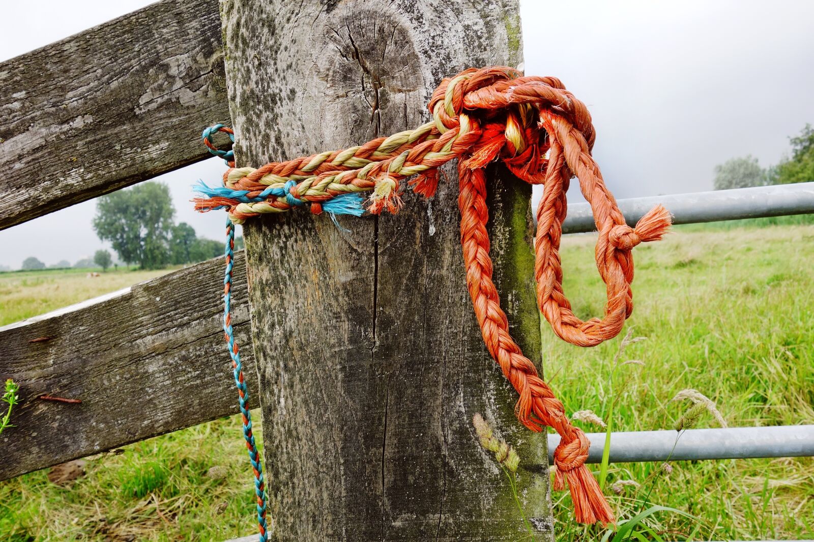 Sony Cyber-shot DSC-RX100 sample photo. Rope, cord, line photography