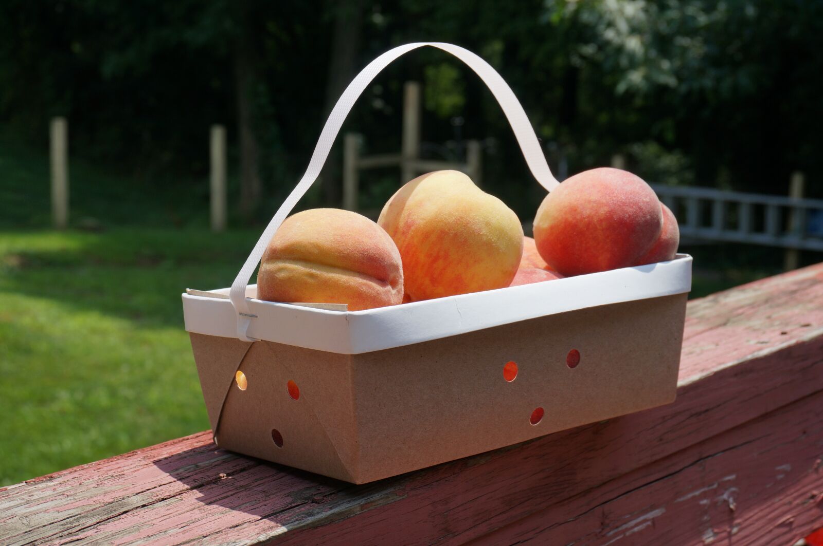 Sony Alpha NEX-6 sample photo. Peach, fruit, basket photography