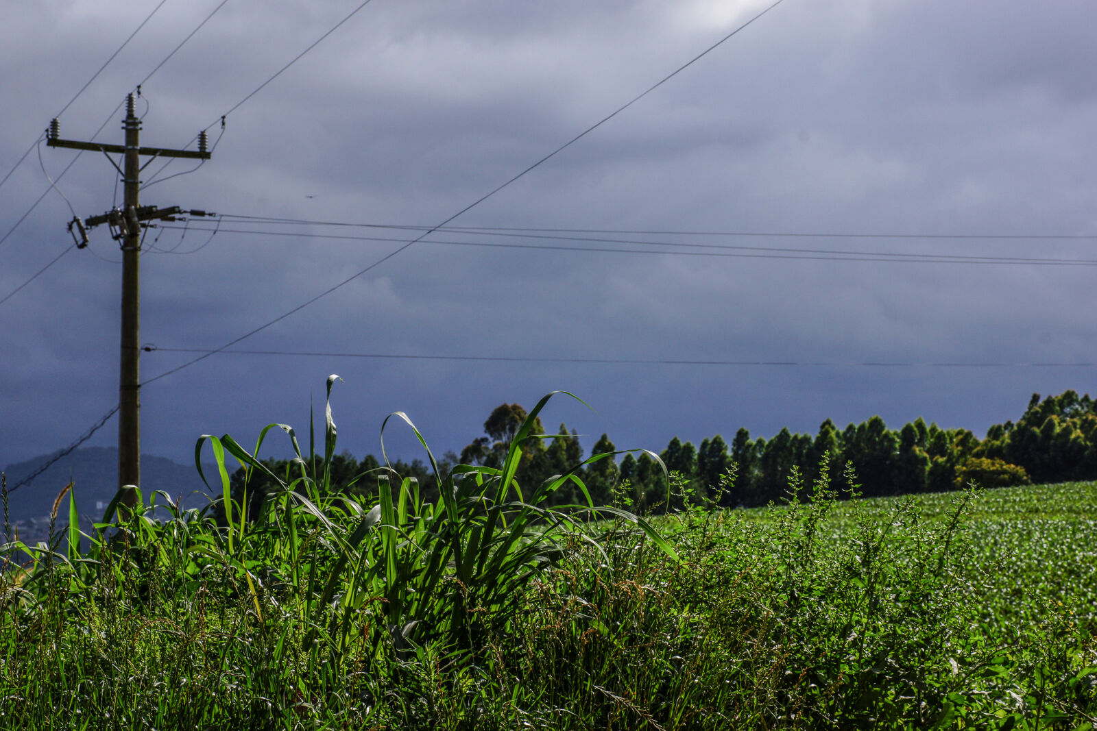 Sony SLT-A77 sample photo. Before, the, storm, cloudy photography
