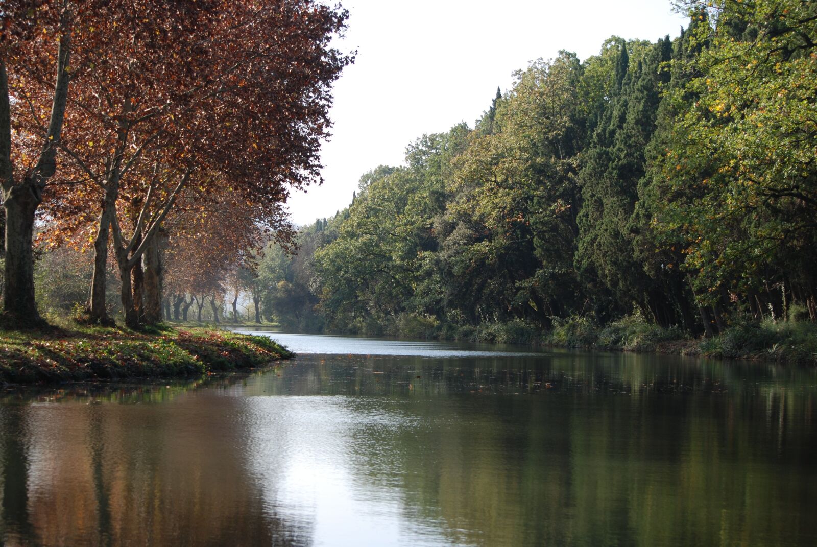 Nikon D80 sample photo. Water, landscape, green photography