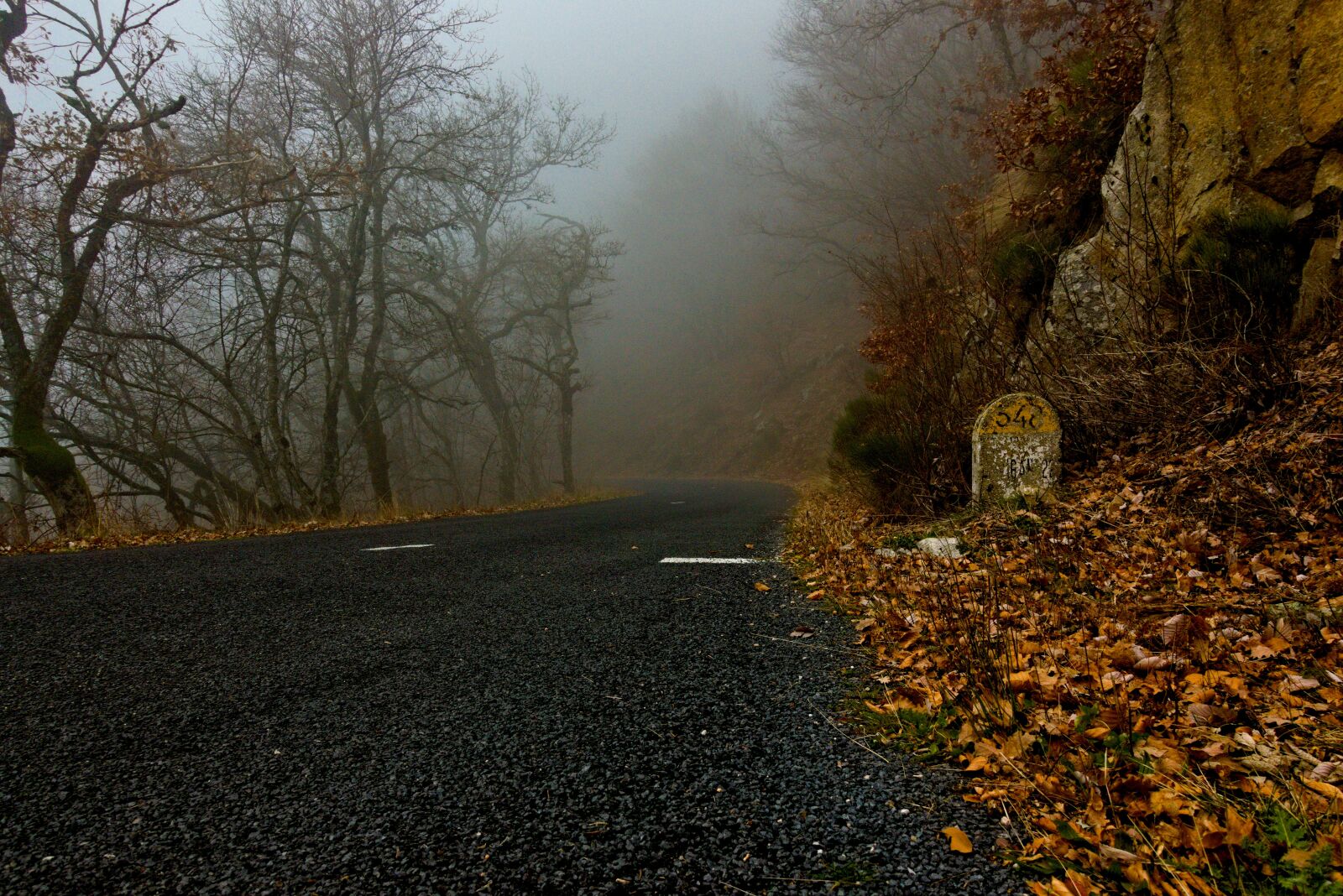 Sony DSC-RX100M5A sample photo. Road, fog, mist photography