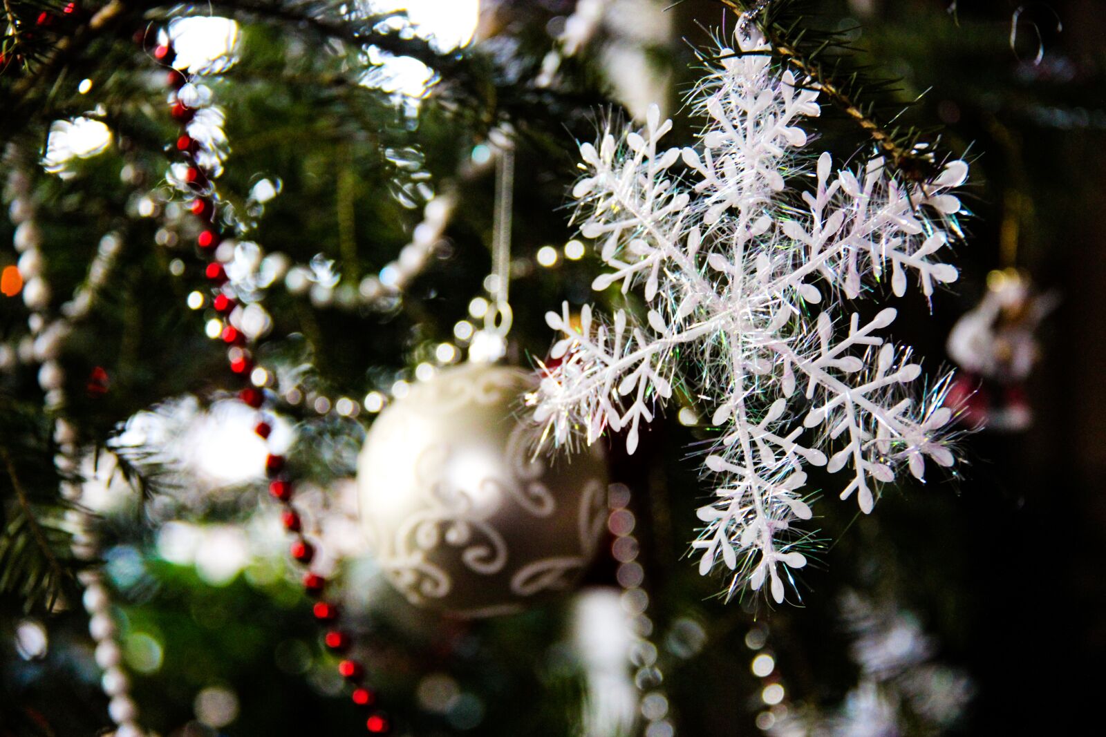 Canon EOS 600D (Rebel EOS T3i / EOS Kiss X5) sample photo. Decoration, new year, tree photography