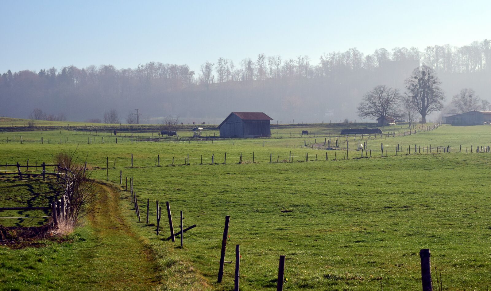 Nikon D3300 sample photo. Grass, nature, agriculture photography
