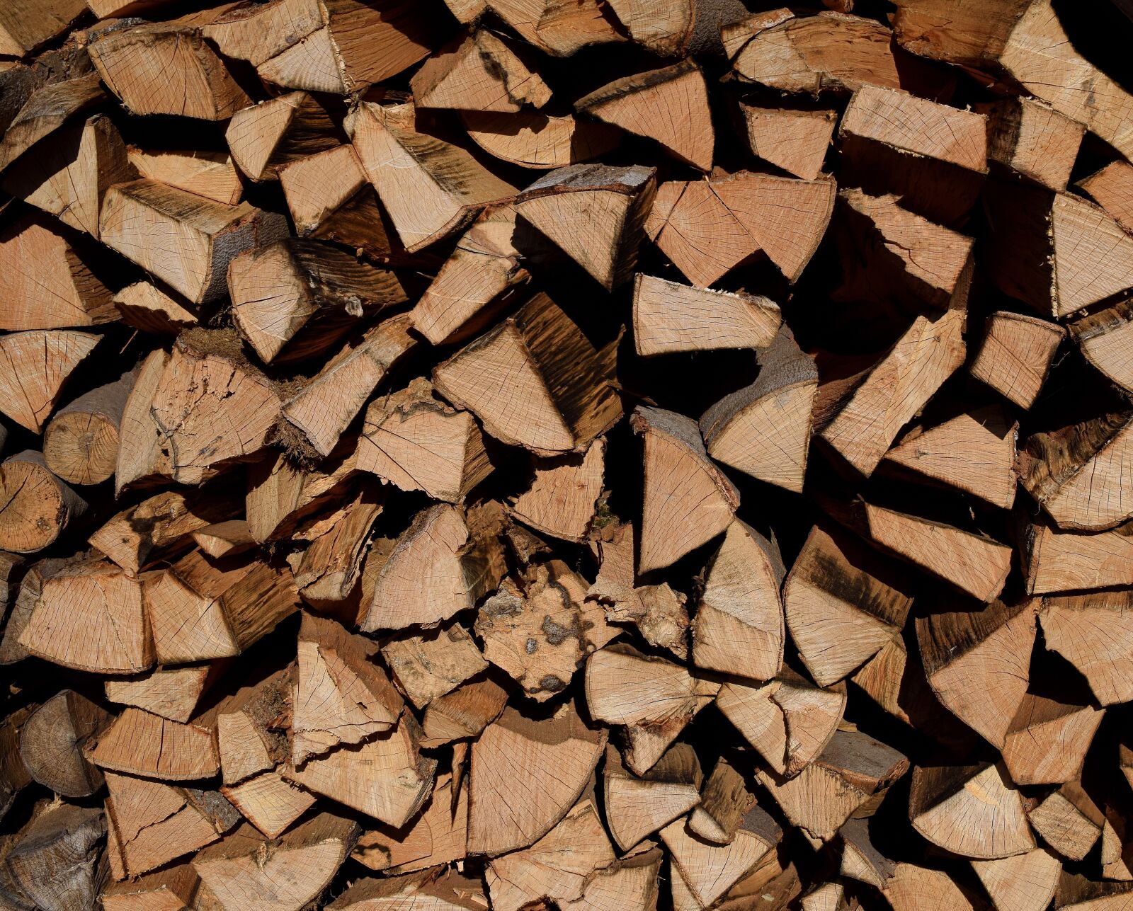 Nikon D5300 sample photo. Wood pile, firewood, wood photography