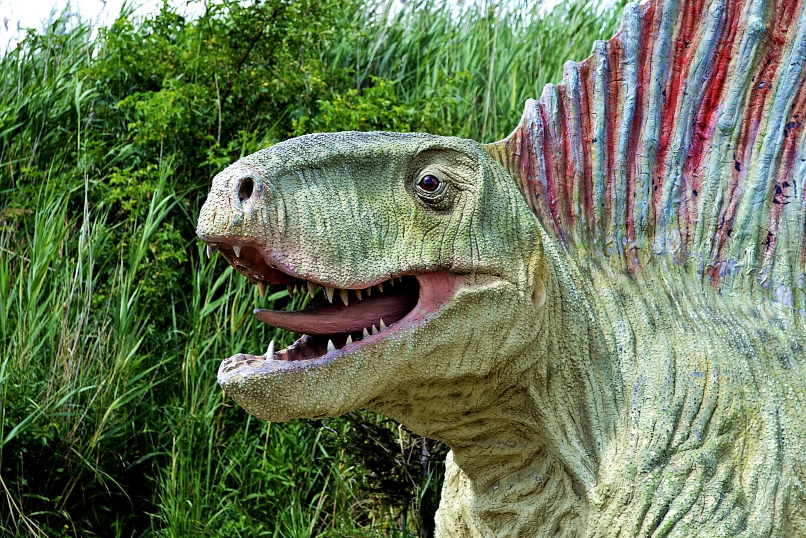 Nikon D3100 sample photo. Dinosaur, dino, reptile photography