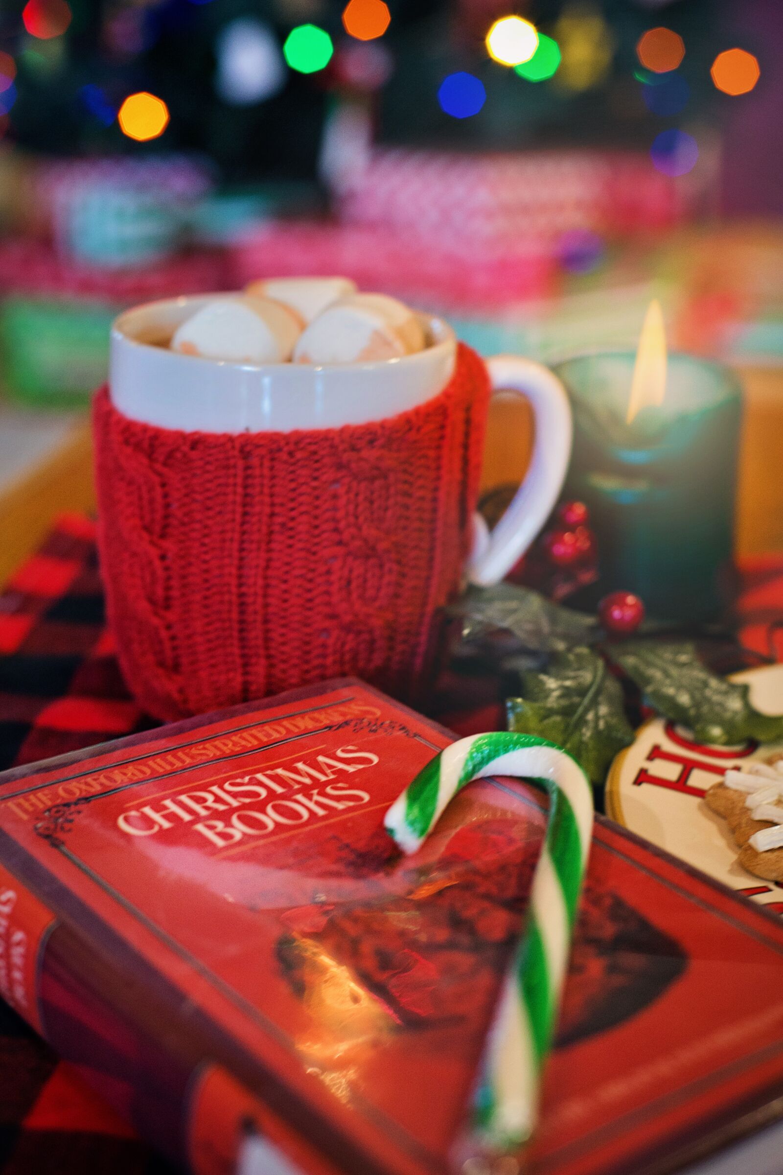 Canon EF 50mm F1.4 USM sample photo. Christmas, book, cozy photography