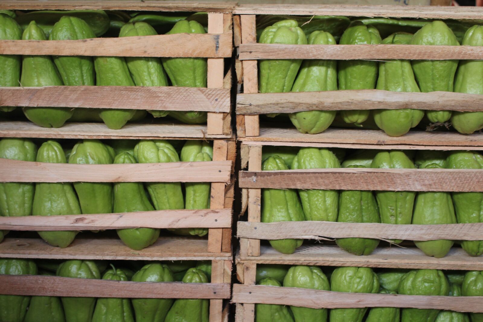 Canon EOS 700D (EOS Rebel T5i / EOS Kiss X7i) sample photo. Market, fruit, urban photography
