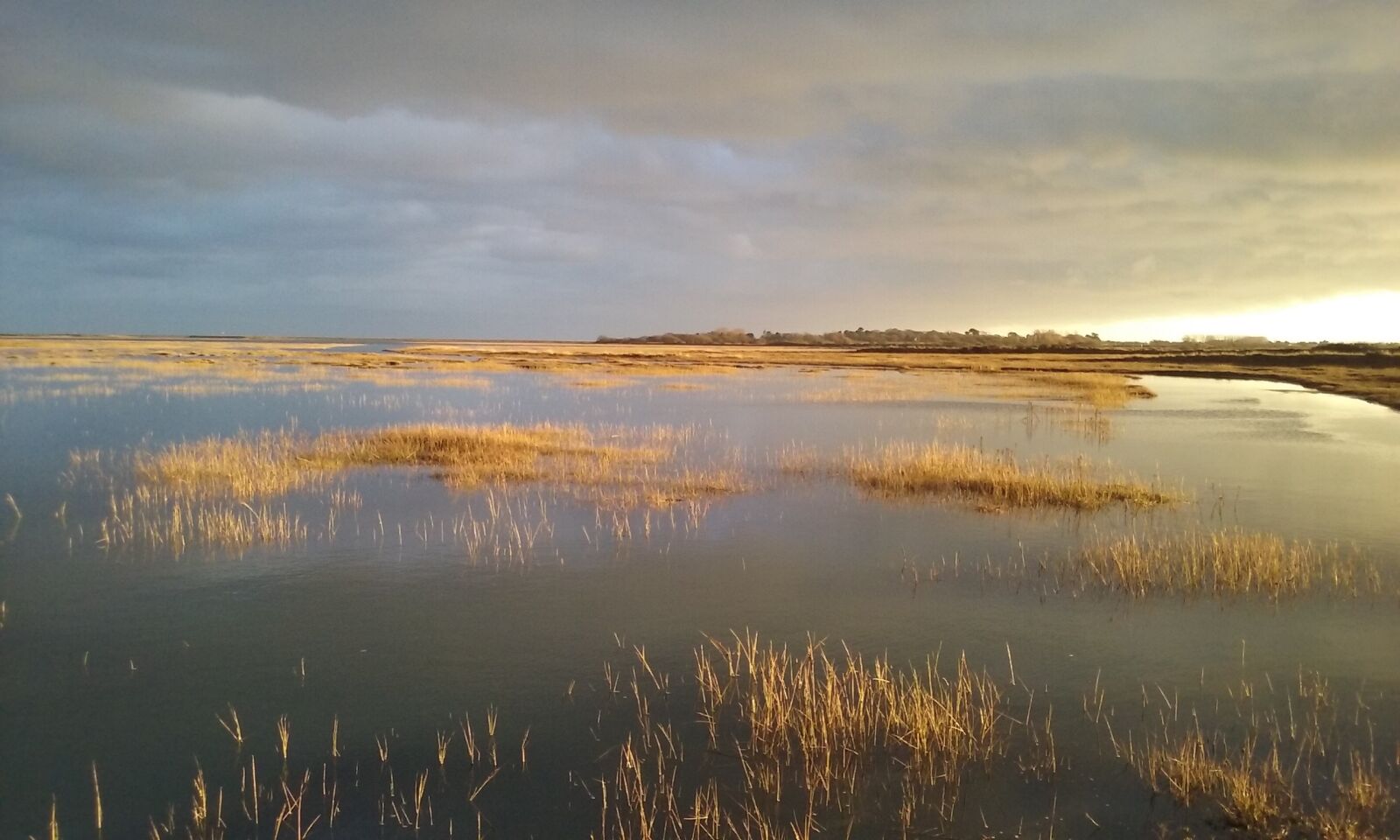 Samsung Galaxy Core Prime sample photo. Open water, marsh, wildlife photography
