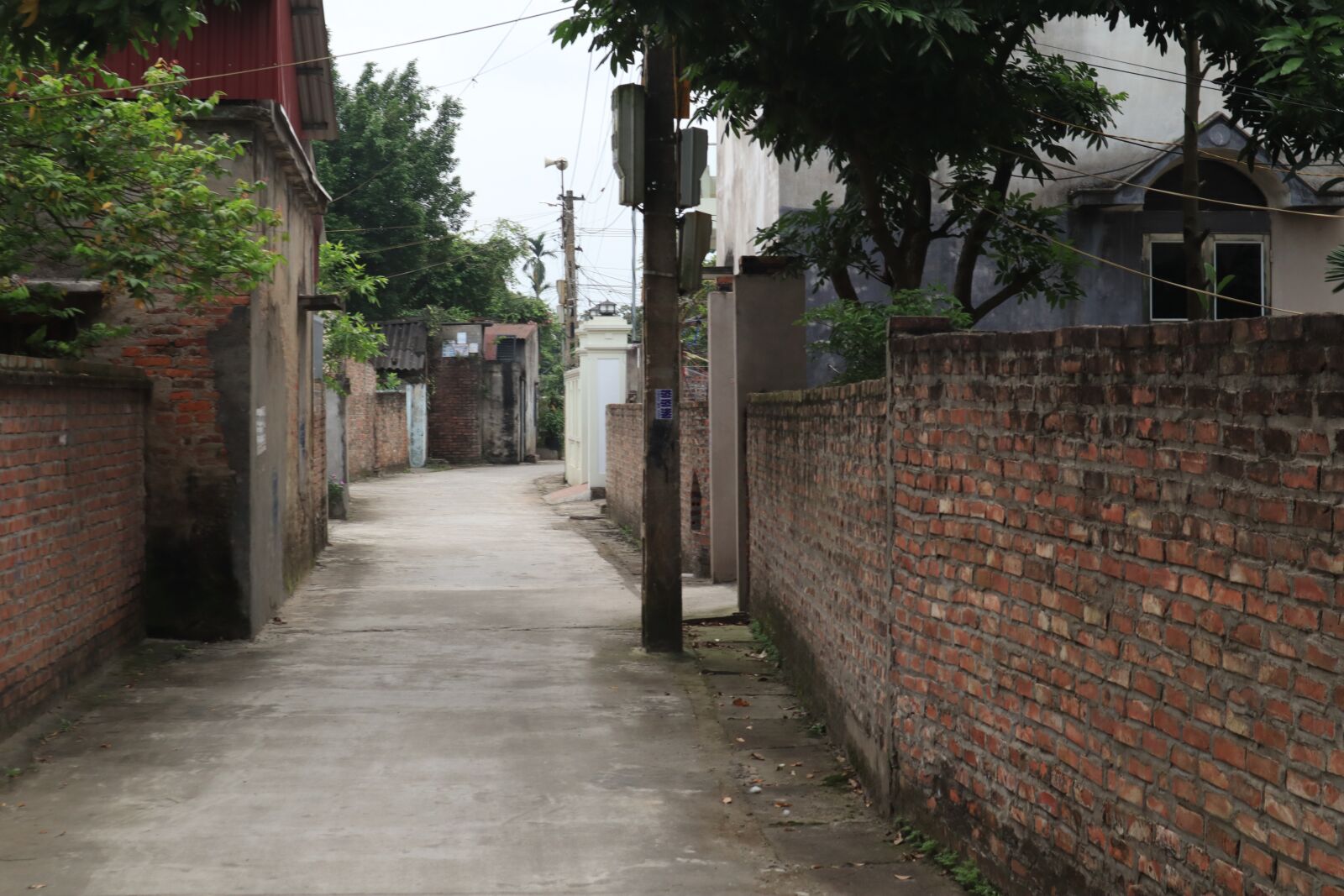 Canon EOS M50 (EOS Kiss M) sample photo. Lane, street, home photography