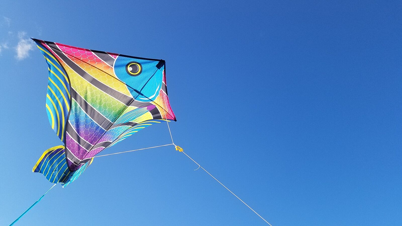 Samsung Galaxy S7 sample photo. Kite surfing, jacksonville, florida photography