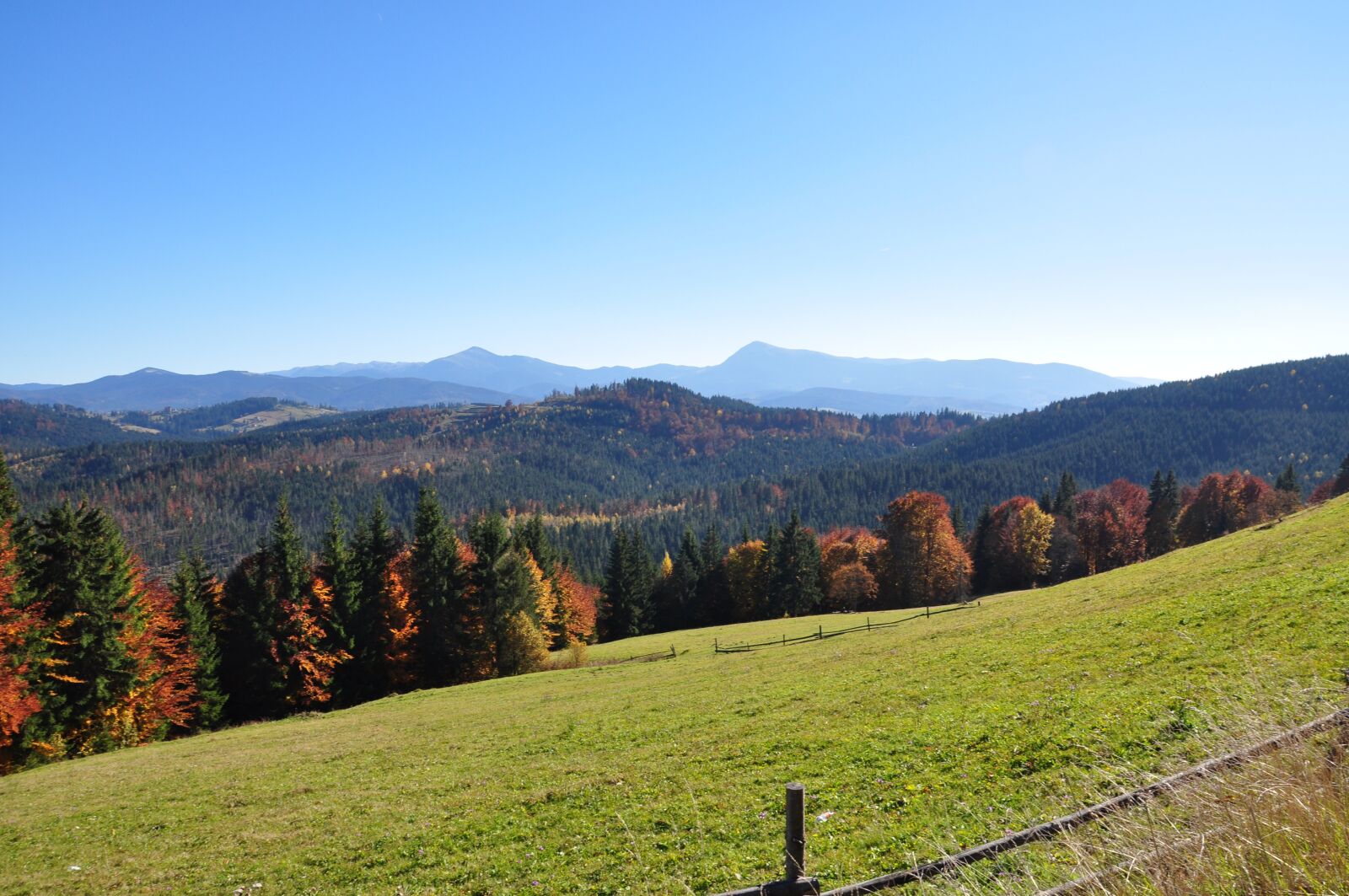 Nikon D90 sample photo. Mountains, forest, autumn photography