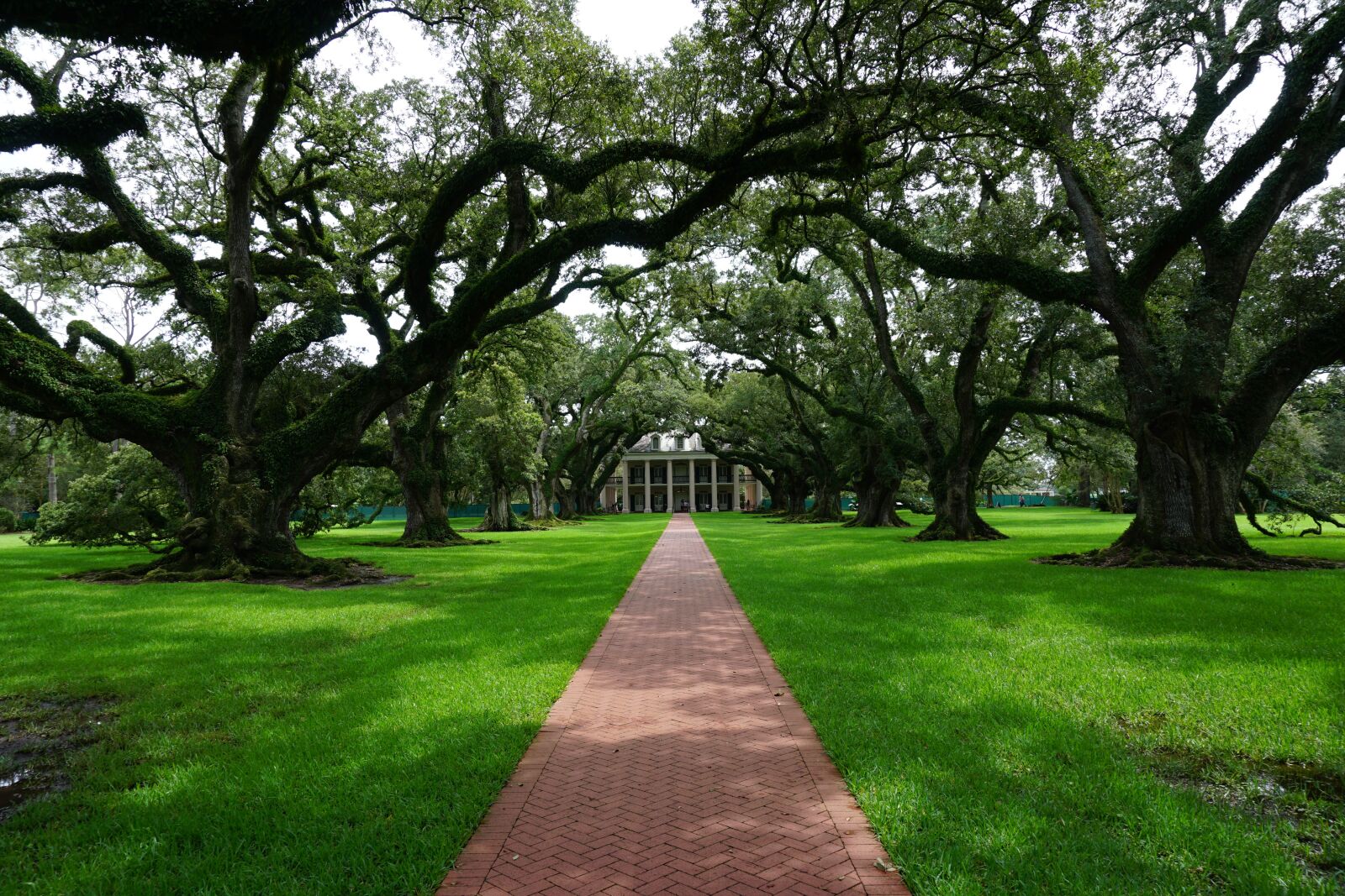 Sony a6000 sample photo. Oak alley, plantation, new photography