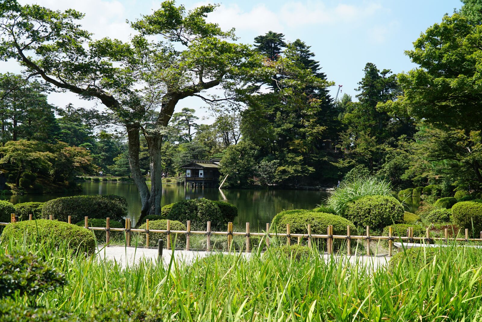 Sony a6300 + Sony E PZ 18-105mm F4 G OSS sample photo. Japan, garden, green photography
