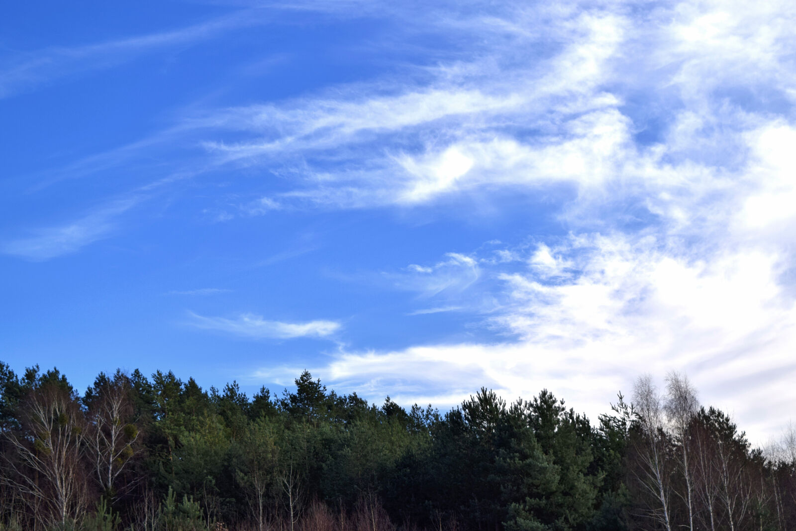 Nikon D3300 sample photo. Autumn, blue, sky, clouds photography