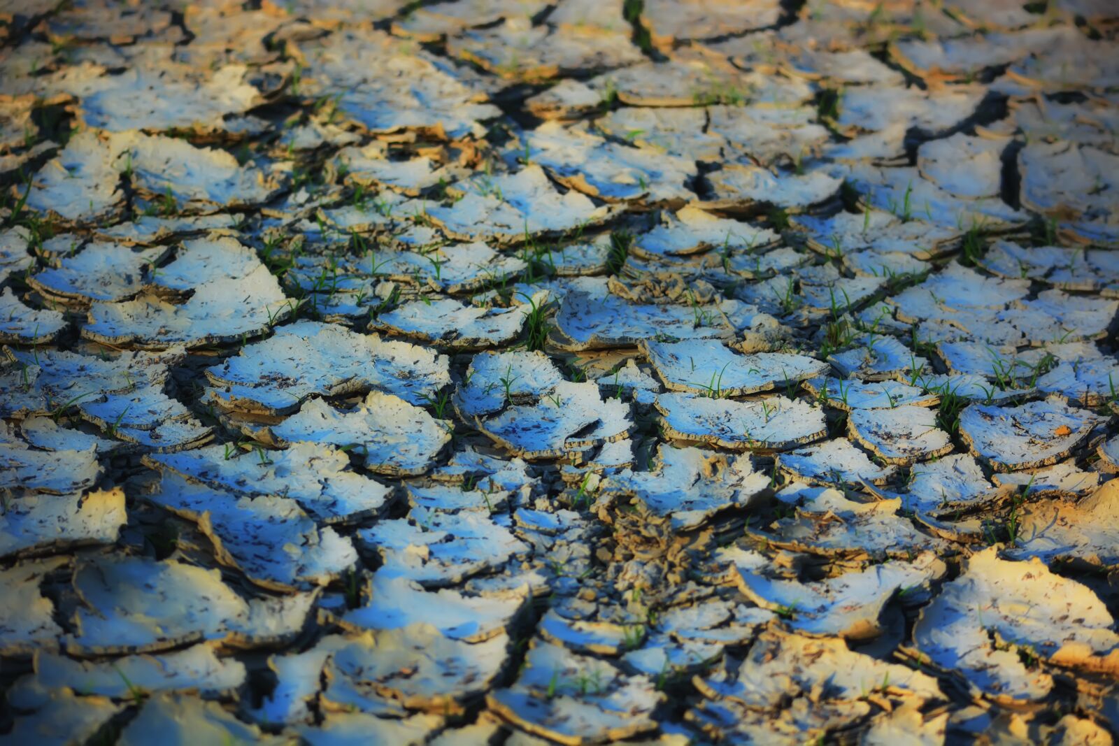 Nikon D5200 sample photo. Land, grass, drought photography