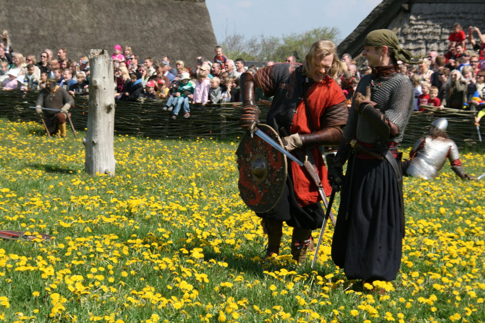 Sigma 18-200mm f/3.5-6.3 DC OS sample photo. Vikings photography