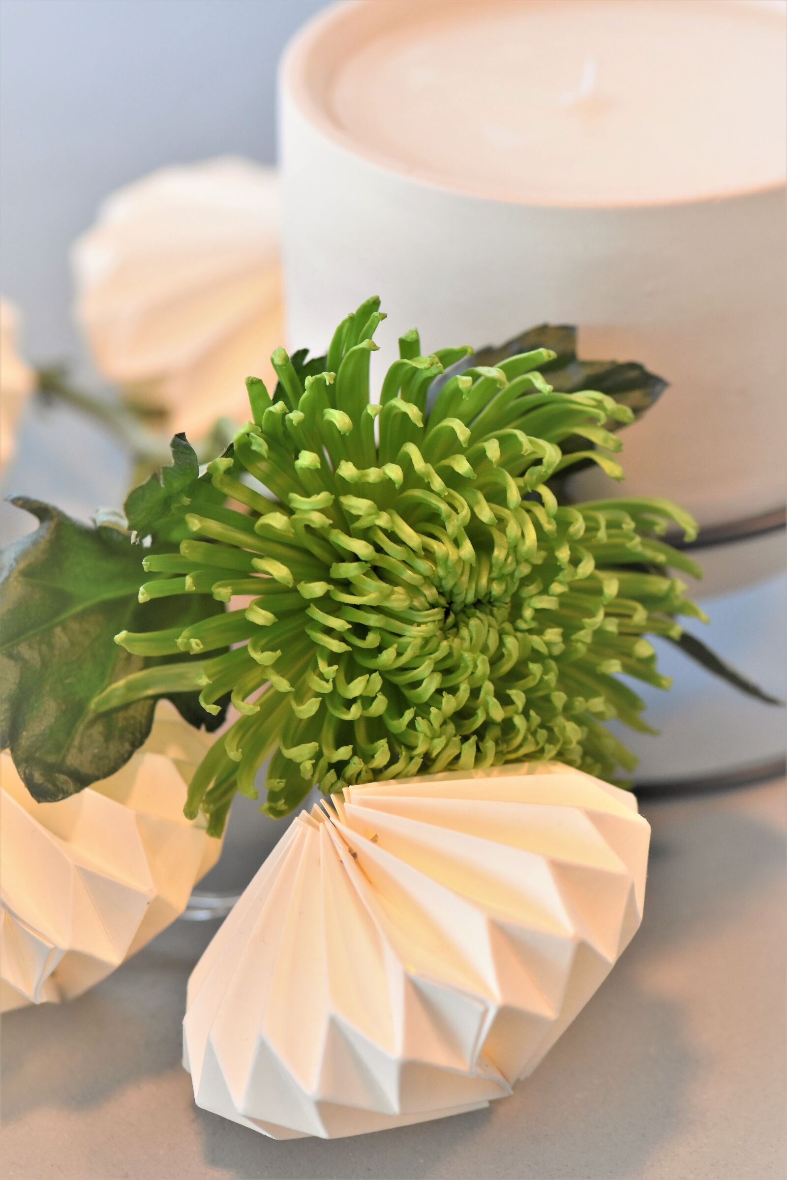 Nikon D5500 sample photo. Decoration, deco, table decorations photography