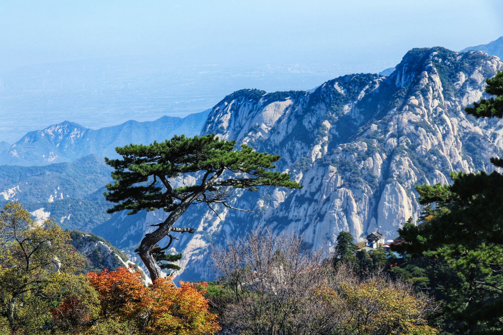 Canon EF-S 18-135mm F3.5-5.6 IS USM sample photo. China, shaanxi province, pinus photography