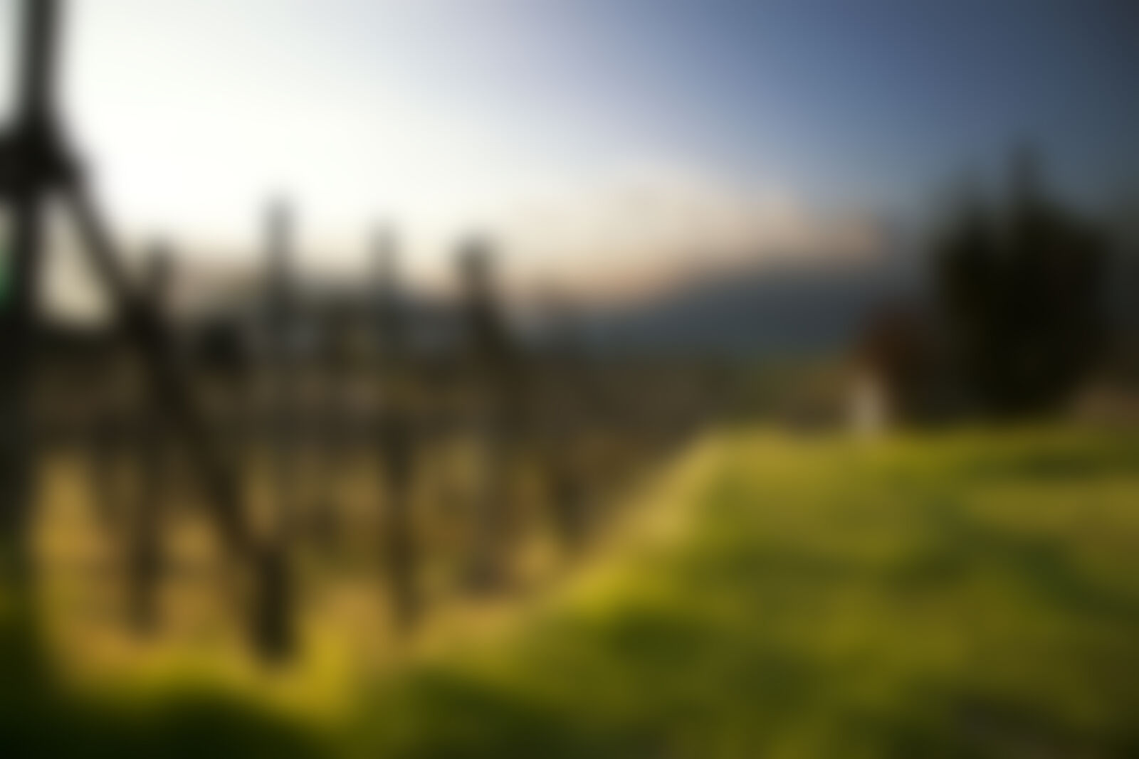 Canon EF 24-105mm F4L IS USM sample photo. Background, blur, blurred photography