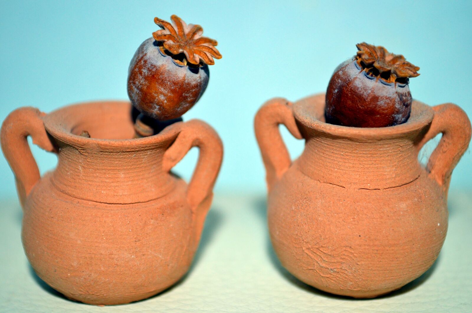 Nikon D5100 sample photo. Amphorae, poppies opium, dried photography