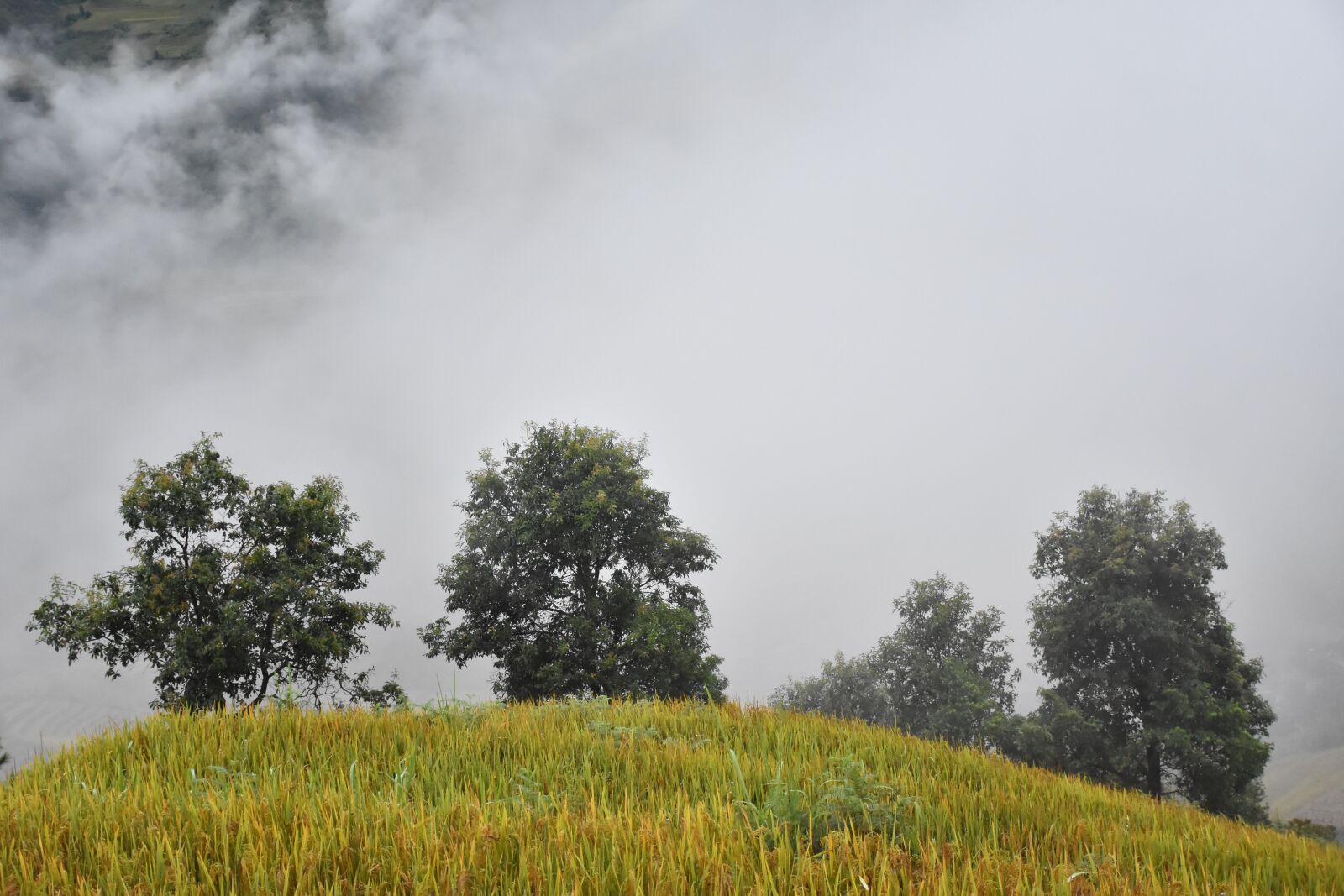 Nikon D7200 sample photo. Mountains, field, valley photography